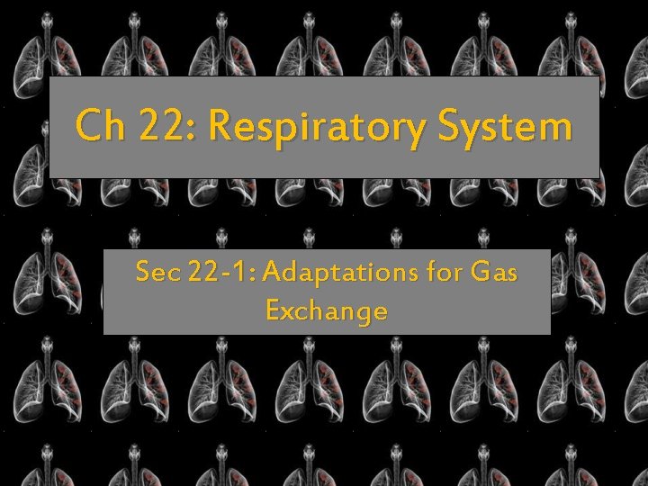 Ch 22: Respiratory System Sec 22 -1: Adaptations for Gas Exchange 