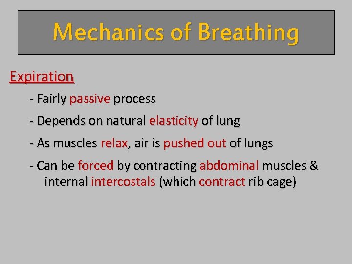 Mechanics of Breathing Expiration - Fairly passive process - Depends on natural elasticity of