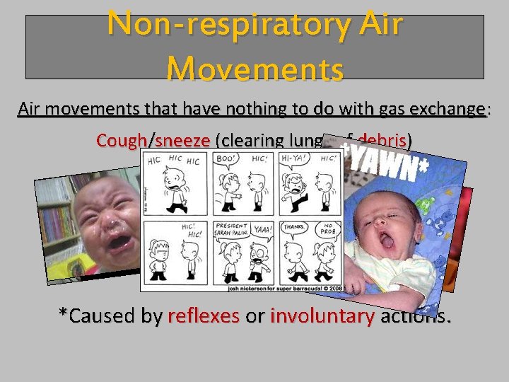 Non-respiratory Air Movements Air movements that have nothing to do with gas exchange: Cough/sneeze
