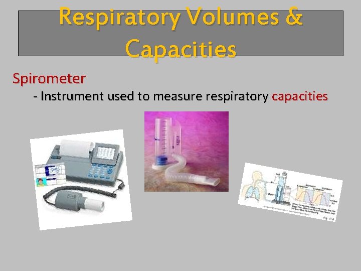 Respiratory Volumes & Capacities Spirometer - Instrument used to measure respiratory capacities 