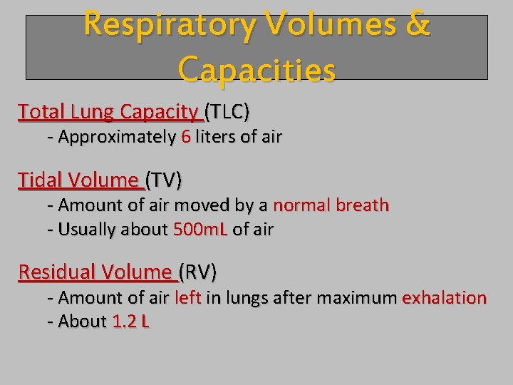 Respiratory Volumes & Capacities Total Lung Capacity (TLC) - Approximately 6 liters of air