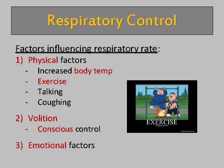 Respiratory Control Factors influencing respiratory rate: 1) Physical factors - Increased body temp Exercise