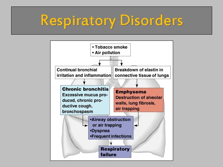 Respiratory Disorders 
