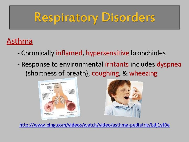 Respiratory Disorders Asthma - Chronically inflamed, hypersensitive bronchioles - Response to environmental irritants includes