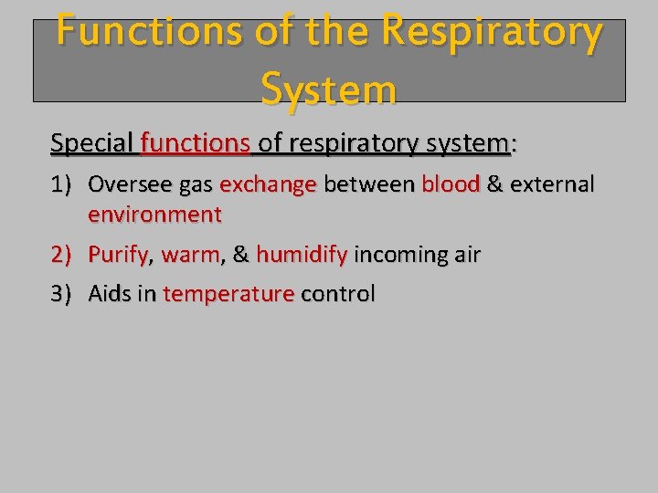 Functions of the Respiratory System Special functions of respiratory system: 1) Oversee gas exchange