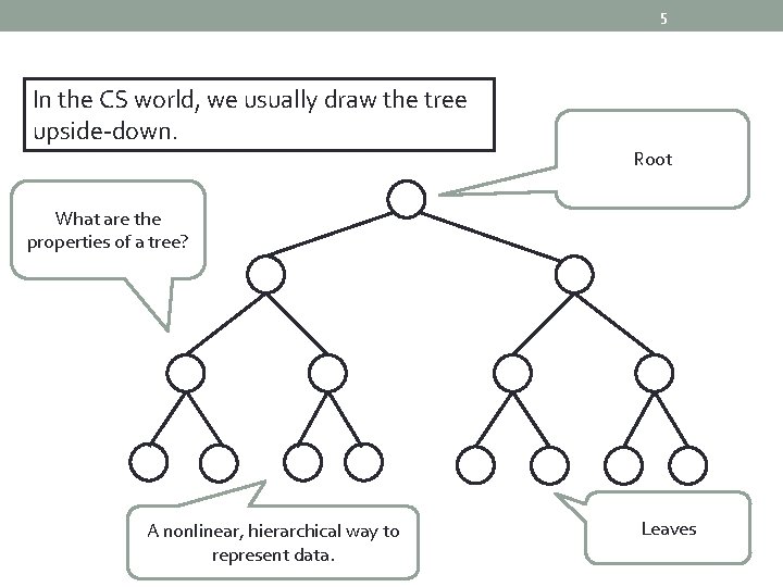 5 In the CS world, we usually draw the tree upside-down. Root What are