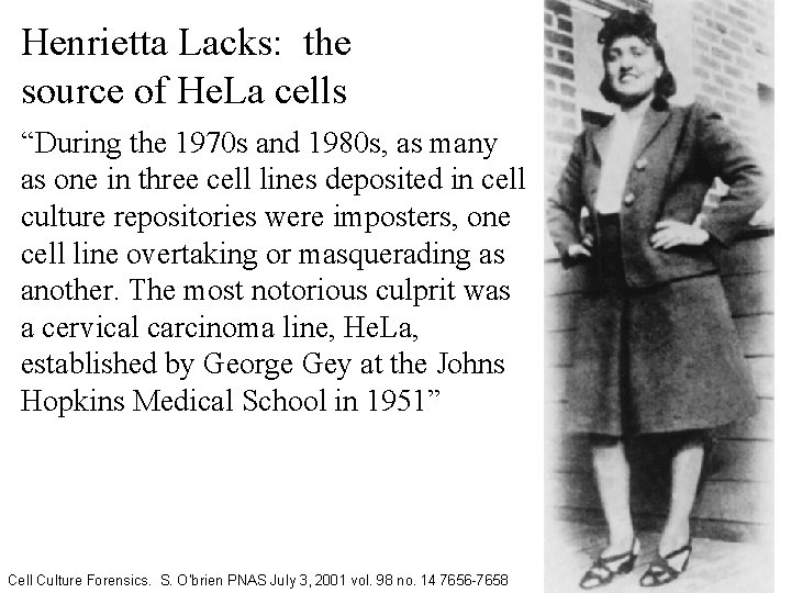 Henrietta Lacks: the source of He. La cells “During the 1970 s and 1980