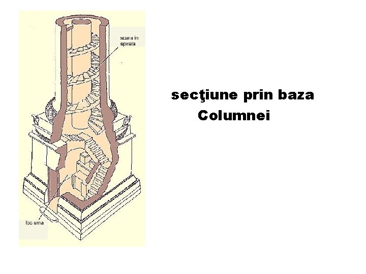 secţiune prin baza Columnei 