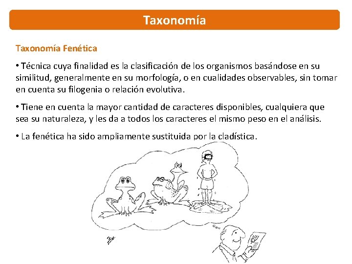 Taxonomía Fenética • Técnica cuya finalidad es la clasificación de los organismos basándose en