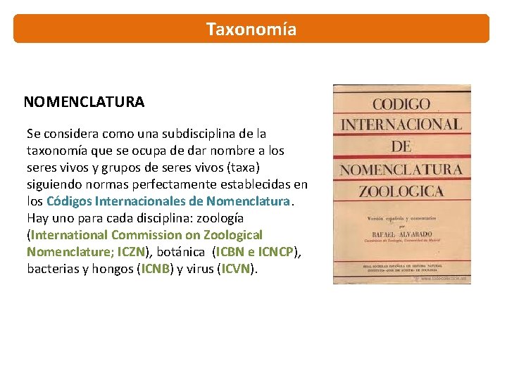 Taxonomía NOMENCLATURA Se considera como una subdisciplina de la taxonomía que se ocupa de