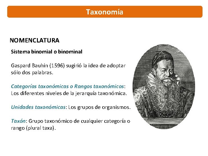 Taxonomía NOMENCLATURA Sistema binomial o binominal Gaspard Bauhin (1596) sugirió la idea de adoptar