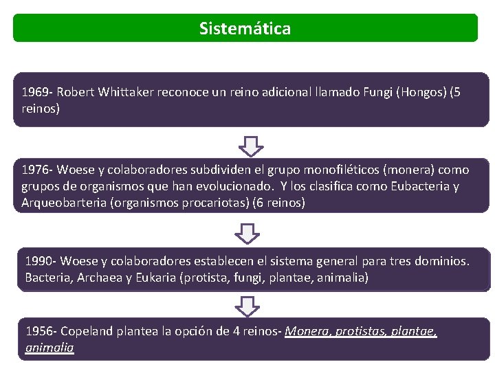 Sistemática 1735 – Linneo distinguió dos reinos de seres vivos y nombró un tercer