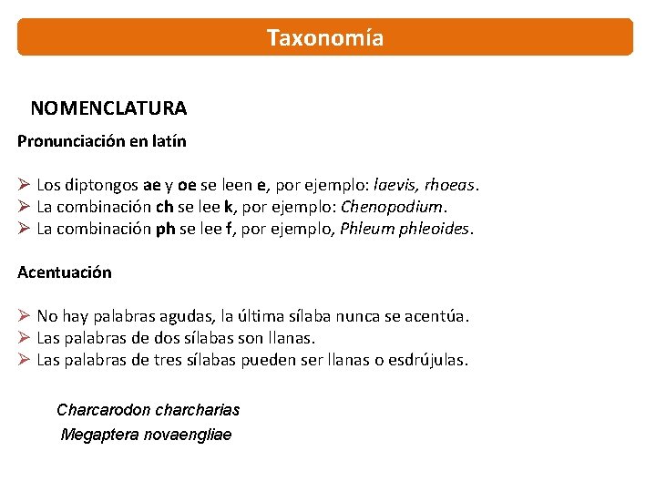 Taxonomía NOMENCLATURA Pronunciación en latín Ø Los diptongos ae y oe se leen e,