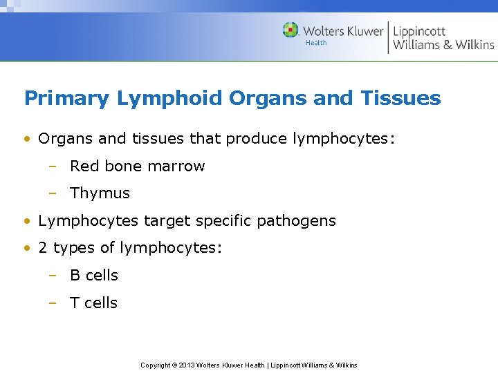 Primary Lymphoid Organs and Tissues • Organs and tissues that produce lymphocytes: – Red