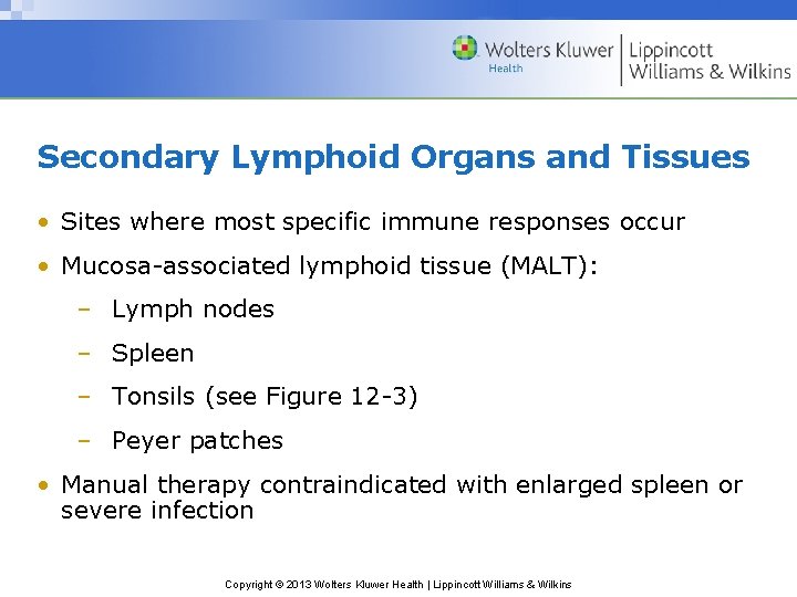 Secondary Lymphoid Organs and Tissues • Sites where most specific immune responses occur •