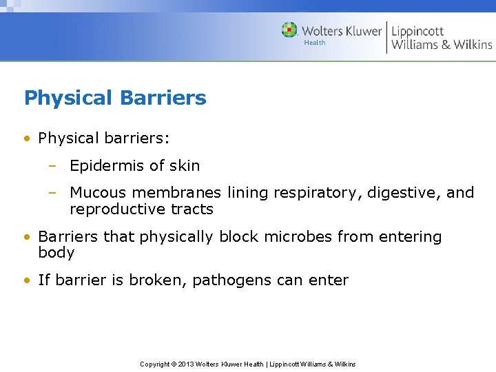 Physical Barriers • Physical barriers: – Epidermis of skin – Mucous membranes lining respiratory,