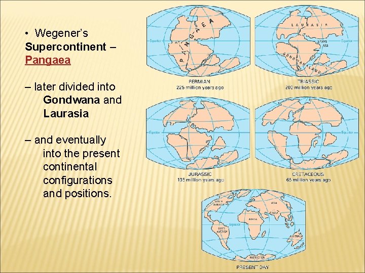  • Wegener’s Supercontinent – Pangaea – later divided into Gondwana and Laurasia –