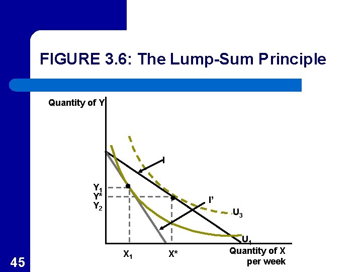 FIGURE 3. 6: The Lump-Sum Principle Quantity of Y I Y 1 Y* Y