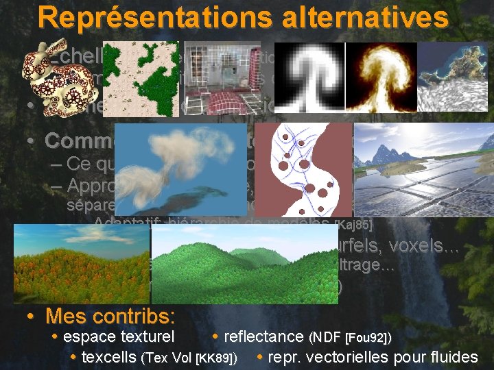 Représentations alternatives • Échelles: (≠ sens, perception, buts, données, simu) modèles différenciés couplés •