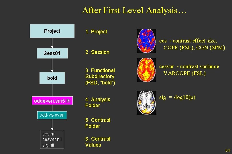 After First Level Analysis… Project Sess 01 bold oddeven. sm 5. lh odd-vs-even ces.