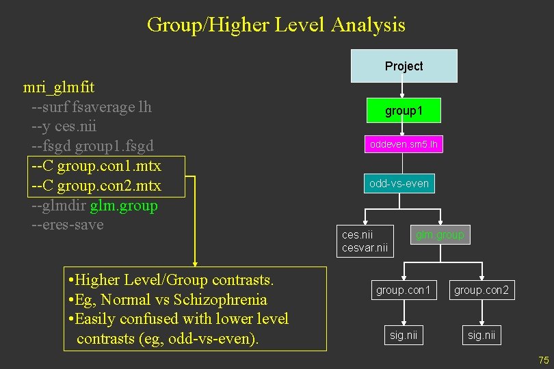 Group/Higher Level Analysis Project mri_glmfit --surf fsaverage lh --y ces. nii --fsgd group 1.