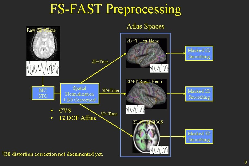 FS-FAST Preprocessing Atlas Spaces Raw 3 D+Time 2 D+T Left Hemi Masked 2 D