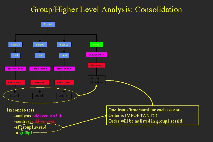 Group/Higher Level Analysis: Consolidation Project Sess 01 Sess 02 Sess 03 group 1 bold