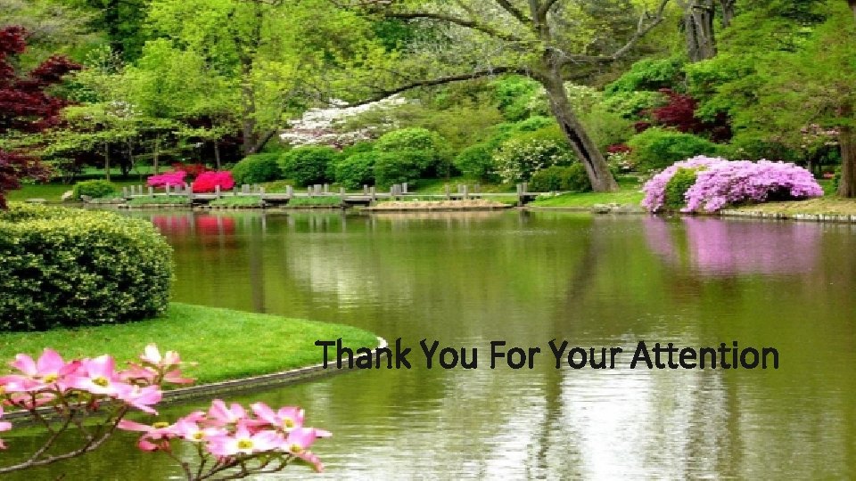 Thank You For Your Attention 
