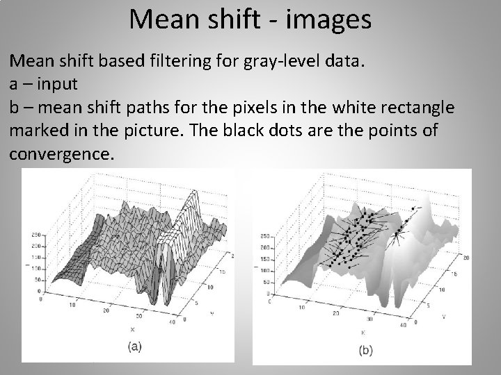 Mean shift - images Mean shift based filtering for gray-level data. a – input