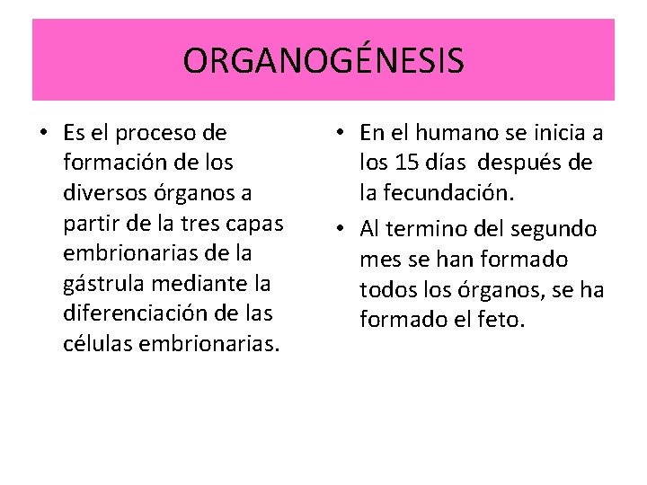 ORGANOGÉNESIS • Es el proceso de formación de los diversos órganos a partir de