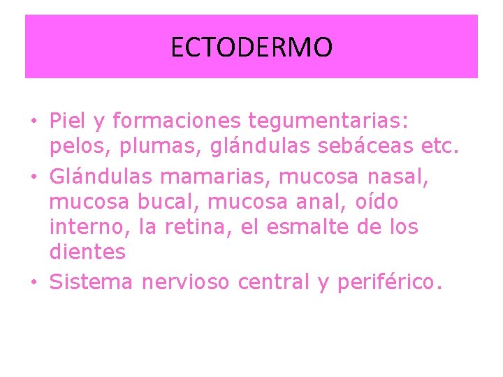 ECTODERMO • Piel y formaciones tegumentarias: pelos, plumas, glándulas sebáceas etc. • Glándulas mamarias,