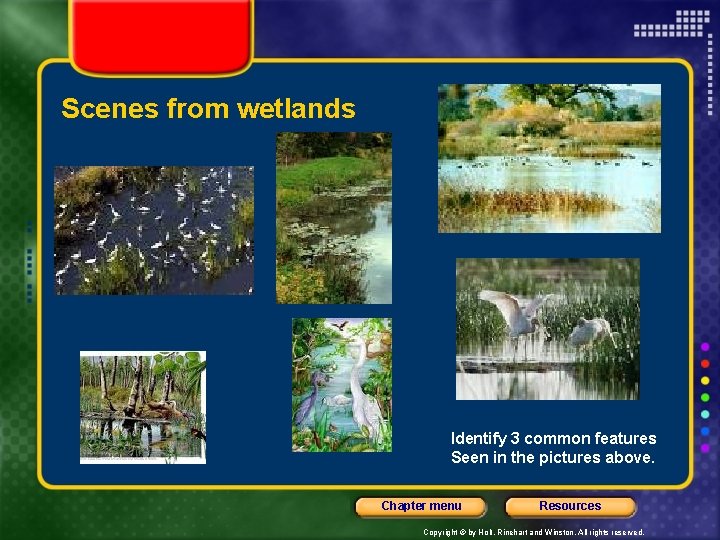 Scenes from wetlands Identify 3 common features Seen in the pictures above. Chapter menu