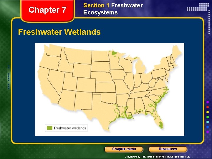 Chapter 7 Section 1 Freshwater Ecosystems Freshwater Wetlands Chapter menu Resources Copyright © by