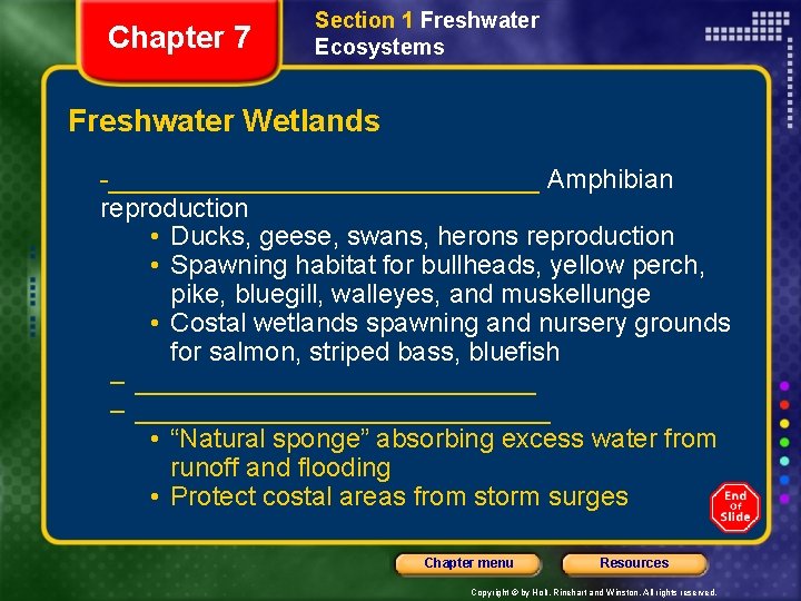 Chapter 7 Section 1 Freshwater Ecosystems Freshwater Wetlands -_______________ Amphibian reproduction • Ducks, geese,