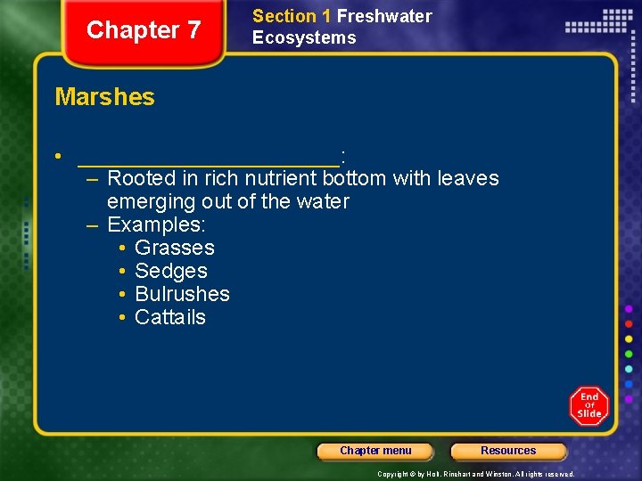 Chapter 7 Section 1 Freshwater Ecosystems Marshes • ___________: – Rooted in rich nutrient