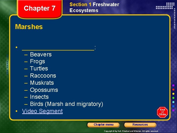 Chapter 7 Section 1 Freshwater Ecosystems Marshes • ___________: – Beavers – Frogs –