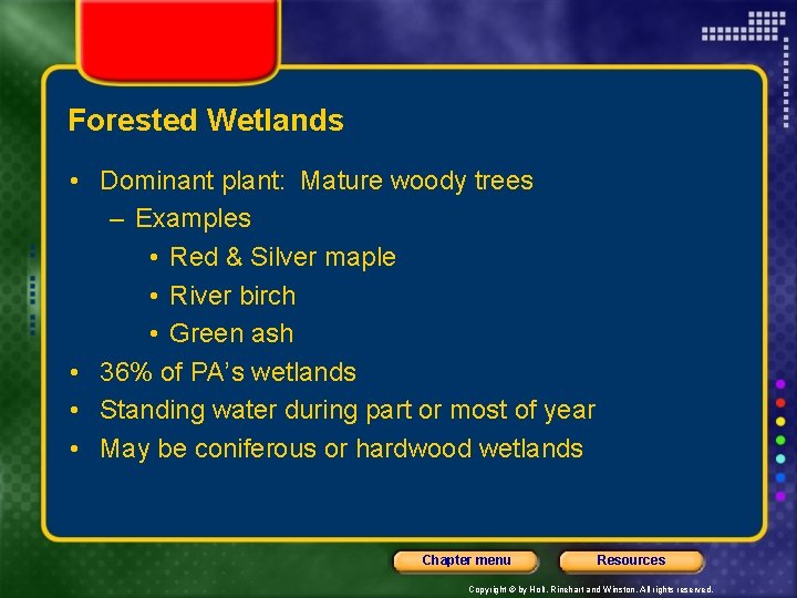 Forested Wetlands • Dominant plant: Mature woody trees – Examples • Red & Silver
