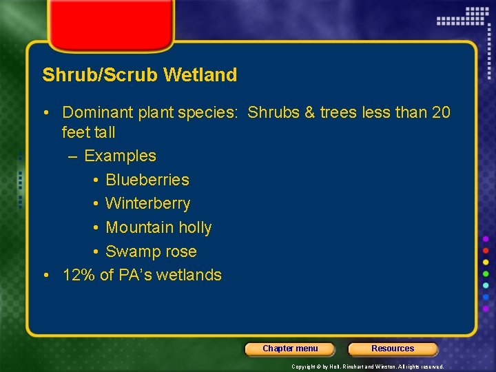 Shrub/Scrub Wetland • Dominant plant species: Shrubs & trees less than 20 feet tall