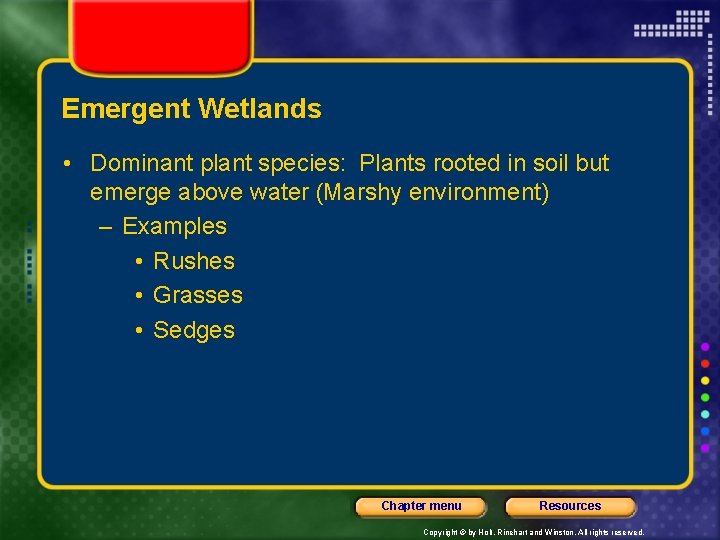 Emergent Wetlands • Dominant plant species: Plants rooted in soil but emerge above water