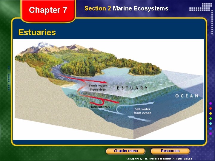 Chapter 7 Section 2 Marine Ecosystems Estuaries Chapter menu Resources Copyright © by Holt,