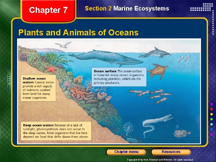 Chapter 7 Section 2 Marine Ecosystems Plants and Animals of Oceans Chapter menu Resources