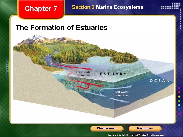 Chapter 7 Section 2 Marine Ecosystems The Formation of Estuaries Chapter menu Resources Copyright