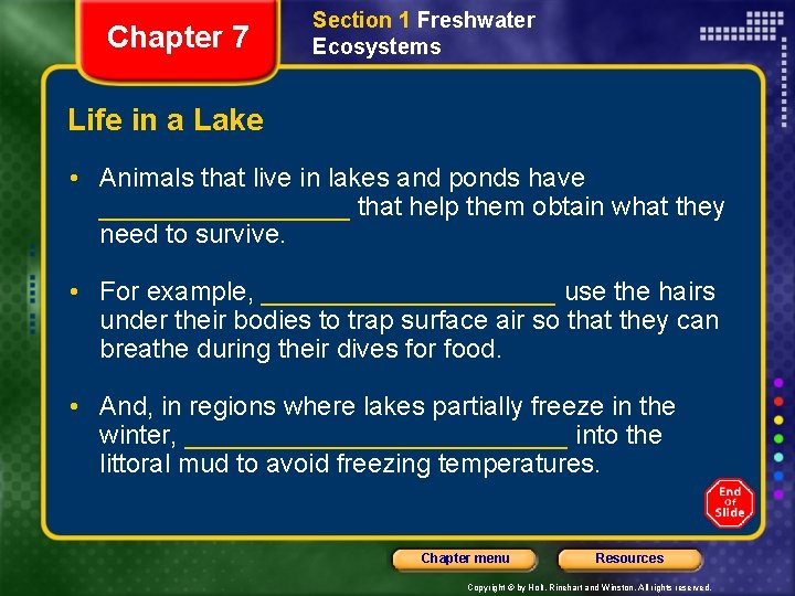 Chapter 7 Section 1 Freshwater Ecosystems Life in a Lake • Animals that live