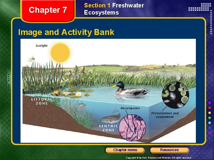 Chapter 7 Section 1 Freshwater Ecosystems Image and Activity Bank Chapter menu Resources Copyright