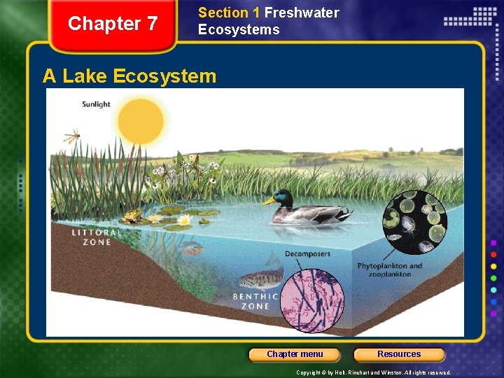 Chapter 7 Section 1 Freshwater Ecosystems A Lake Ecosystem Chapter menu Resources Copyright ©