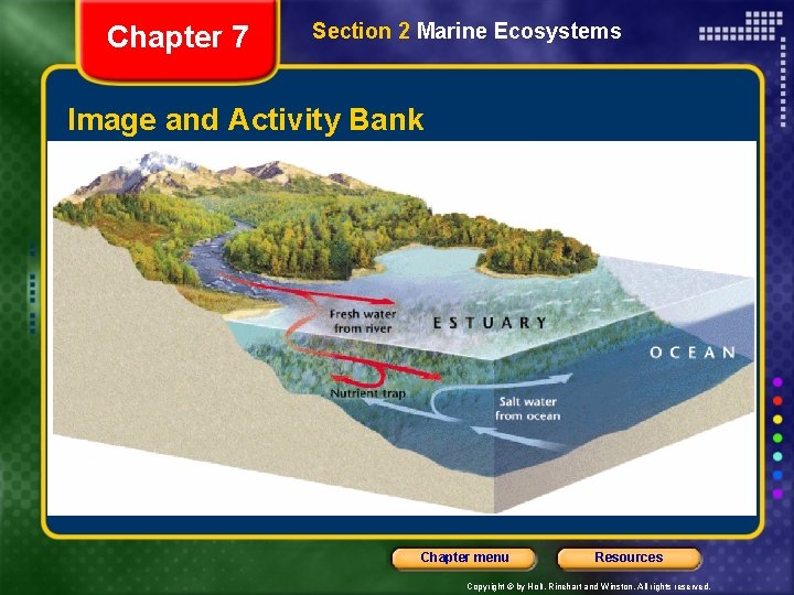 Chapter 7 Section 2 Marine Ecosystems Image and Activity Bank Chapter menu Resources Copyright