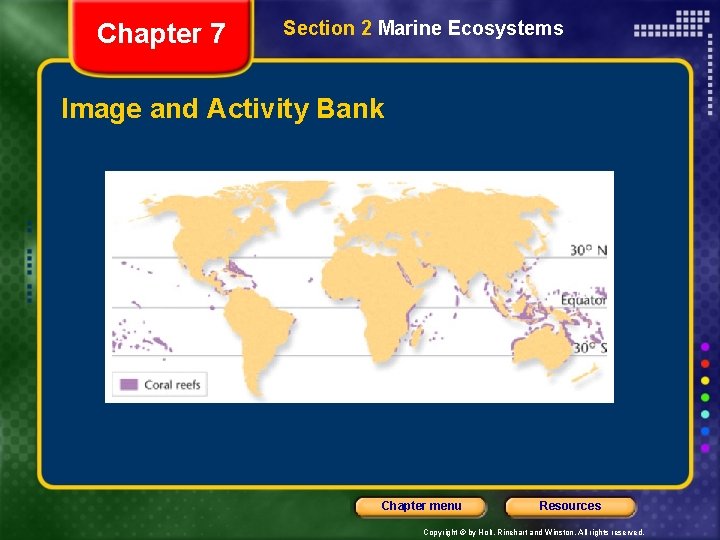 Chapter 7 Section 2 Marine Ecosystems Image and Activity Bank Chapter menu Resources Copyright