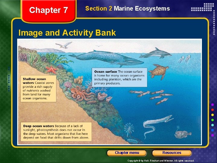 Chapter 7 Section 2 Marine Ecosystems Image and Activity Bank Chapter menu Resources Copyright