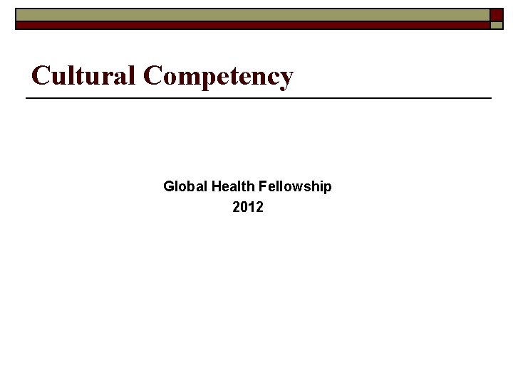 Cultural Competency Global Health Fellowship 2012 