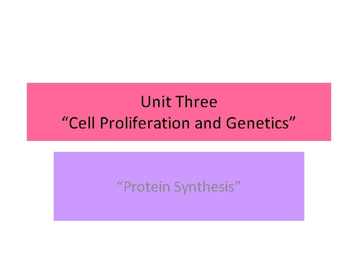 Unit Three “Cell Proliferation and Genetics” “Protein Synthesis” 